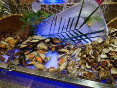 -惠州白鹭湖雅居乐喜来登度假酒店-盛宴标帜西餐厅