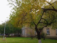 -辽宁大学(崇山校区)