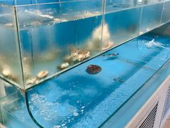 -食鲜捞火锅(湖西路店)