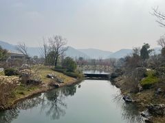 -周震馄饨(雅达阳羡溪山店)