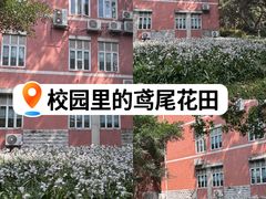 -四川大学(望江校区)