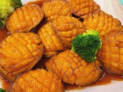 -鸿港海鲜批发市场