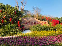 -五缘湾湿地公园