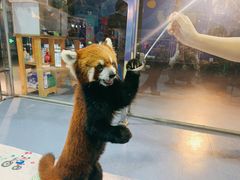 -秦皇岛新澳海底世界