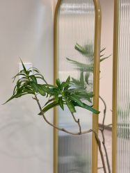-四七美学·半永久纹眉