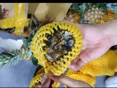 -曼阁市场水果批发市场