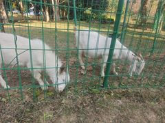 -福建鲤鱼洲酒店