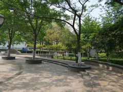 -后襄河公园