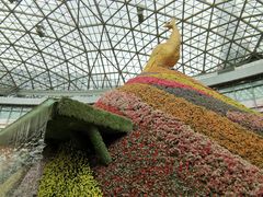 -昆明花之城豪生酒店·美食广场