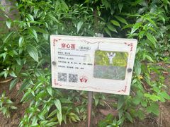 -广州神农草堂中医药博物馆