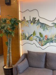 -苏亚医美·高端注射明星整形机构