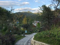 -腾冲洞山温泉村