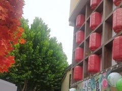 -后湖小院·乡野田园菜