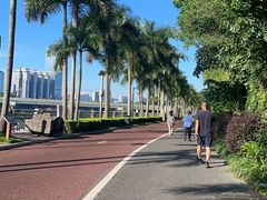 -南宁南湖公园