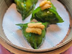 -随堂里