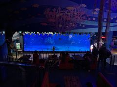 -烟台海昌鲸鲨海洋公园