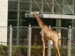 -石家庄市动物园