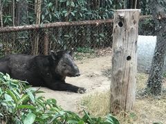 -上海野生动物园