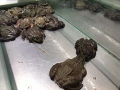 -大润发(东关世茂店)