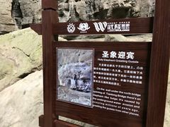 -武隆天坑地缝国家地质公园