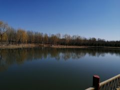 -东郊湿地公园
