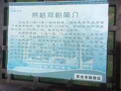-灵光寺
