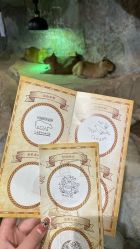 -Zoolung Zoolung动物主题公园(海信广场店)