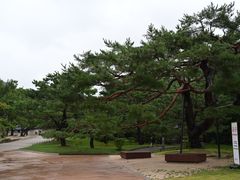 -景福宫