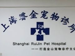 -睿金宠物医院·CT·肿瘤·骨外科