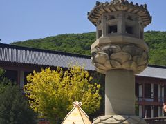 -横山寺