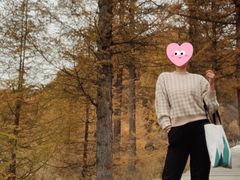 -苏木山森林公园
