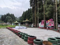 -武陵山森林公园