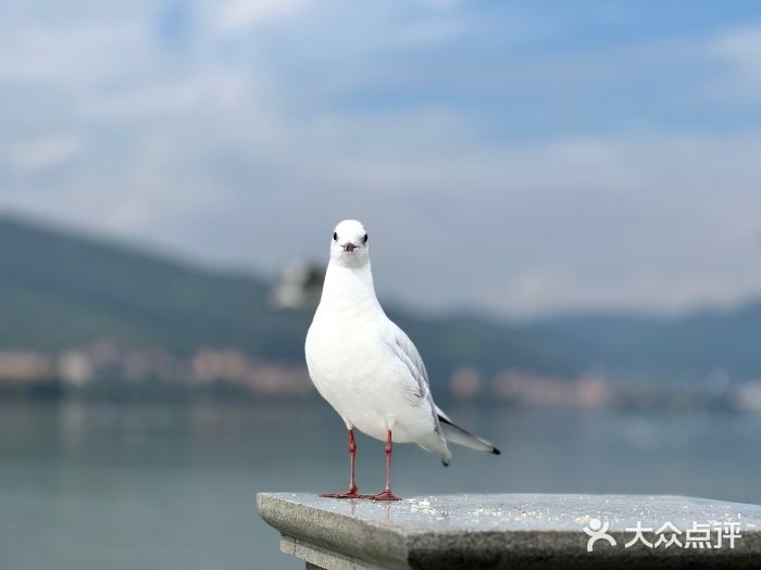 海埂大坝图片