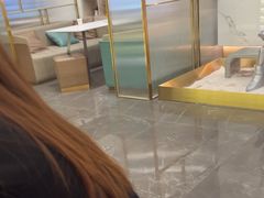 -点石家装(总部旗舰店)