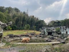 -宁波野生动物园