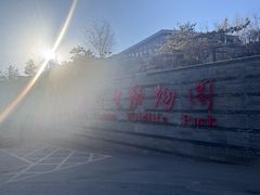 -青藏高原野生动物园