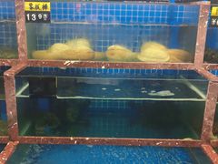 水产区-海香园饭店
