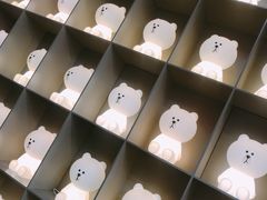-line friends(明洞旗舰店)
