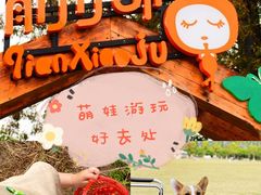 -前小桔亲子创意农场·草莓采摘·露营烧烤