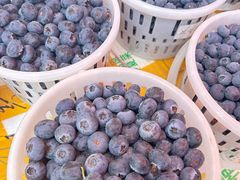 -南坛综合农贸市场