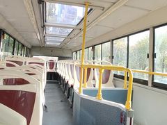 -BUS TOUR观光巴士
