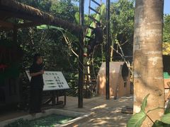 -海南槟榔谷黎苗文化旅游区