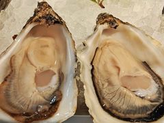 -Oyster Talks 四度蚝法餐厅