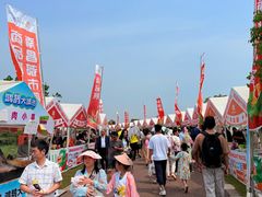 -九龙湖公园