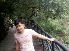 -龙湾潭国家森林公园