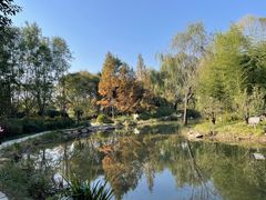 -郑州植物园