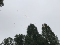 -杭州花家山庄