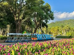 -东南花都花博园