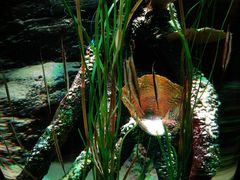 -沈阳海洋探索中心