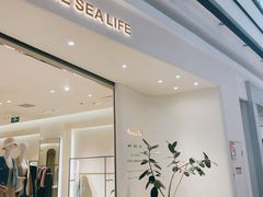 -永旺梦乐城国际商城(北清路店)